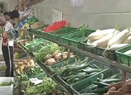 南昌：“菜篮子”稳稳的 叶类蔬菜价格略有上涨