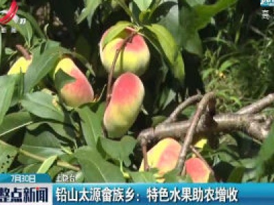 上饶·铅山太源畲族乡：特色水果助农增收