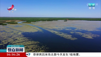 中国最大内陆淡水湖睡莲怒放