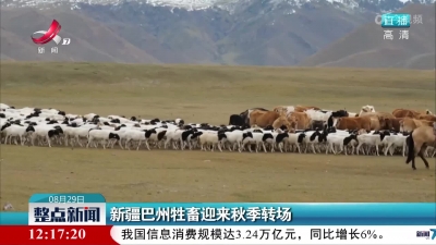 新疆巴州牲畜迎来秋季转场